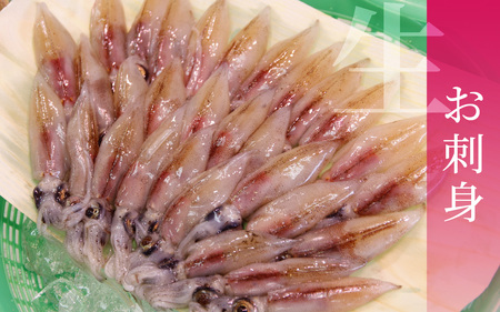 急速冷凍 生 ほたるいか カネツル砂子商店