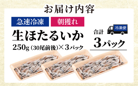 急速冷凍 生 ほたるいか カネツル砂子商店