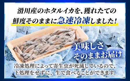 急速冷凍 生 ほたるいか オリジナル万能酢味噌付き カネツル砂子商店