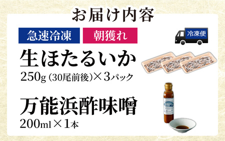 急速冷凍 生 ほたるいか オリジナル万能酢味噌付き カネツル砂子商店
