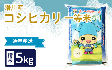 【先行予約】【新米】滑川産コシヒカリ（精米5kg）25年10月以降順次配送予定
