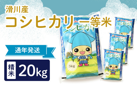 【先行予約】【新米】滑川産コシヒカリ（精米20kg）25年10月以降順次配送予定