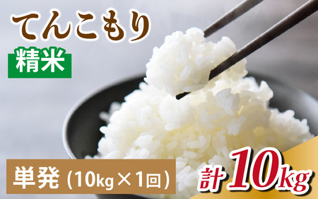 25年10月中旬以降順次発送 富山県滑川産「てんこもり」与文のお米（精米10kg）産地直送 袋 精米10kg おにぎり お米 白米 国産 ご飯 ごはん 富山県 滑川市 アグリめぐみ B-050002