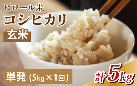 25年10月中旬以降順次発送 富山県滑川産 弱アルカリ性米「ピロール農法米 コシヒカリ」与文のお米（玄米5kg）産地直送 袋 玄米 おにぎり お米 白米 国産 ご飯 ごはん 富山県 滑川市 アグリめぐみ A-050001 アトピー 米