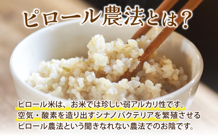 25年10月中旬以降順次発送 富山県滑川産 弱アルカリ性米「ピロール農法米 コシヒカリ」与文のお米（玄米5kg）産地直送 袋 玄米 おにぎり お米 白米 国産 ご飯 ごはん 富山県 滑川市 アグリめぐみ A-050001 アトピー 米