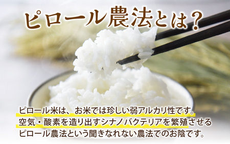 25年10月中旬以降順次発送 富山県滑川産 弱アルカリ性米「ピロール農法米 コシヒカリ」与文のお米（精米5kg）産地直送 袋 精米5kg おにぎり お米 白米 国産 ご飯 ごはん 富山県 滑川市 アグリめぐみ A-050002  アトピー 米