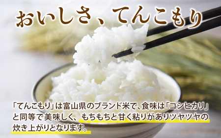 25年10月中旬以降順次発送 精米  5kg 富山県滑川産「てんこもり」与文のお米 / 産地直送 袋 ブランド米 お米 白米 ご飯 ごはん 富山 滑川市 アグリめぐみ [A-050004]
