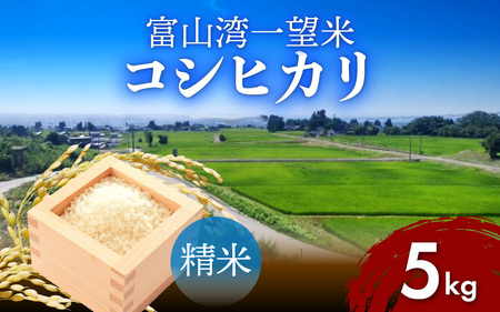 【先行予約】新米 富山湾一望米　コシヒカリ 精米 【容量5kg】【2025年10月より順次発送】
