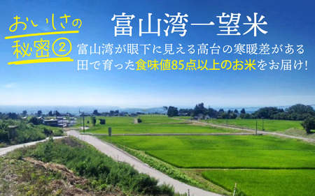 【先行予約】新米 富山湾一望米　コシヒカリ 精米 【容量5kg】【2025年10月より順次発送】