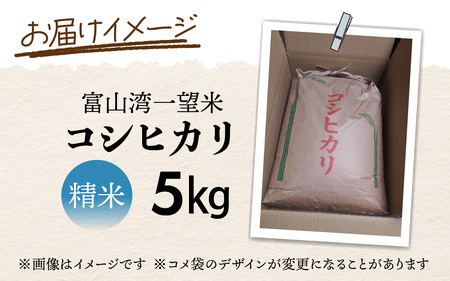 【先行予約】新米 富山湾一望米　コシヒカリ 精米 【容量5kg】【2025年10月より順次発送】