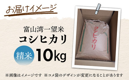 新米 富山湾一望米　コシヒカリ 精米 【容量10kg】【2025年10月より順次発送】 
