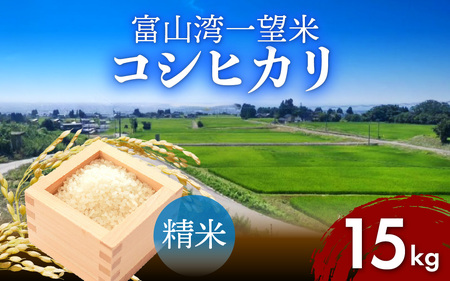 【先行予約】新米 富山湾一望米　コシヒカリ 精米 【容量15kg】【2025年10月より順次発送】