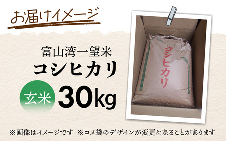 新米 富山湾一望米　コシヒカリ 玄米 【容量30kg】【2025年10月より順次発送】