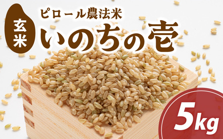 富山県滑川市産　弱アルカリ性米　「ピロール農法米　いのちの壱」玄米5kg【2025年10月中旬より順次発送】 / 産地直送 袋 ブランド米 お米 米 ご飯 ごはん 富山 滑川市 アグリめぐみ 農家直送 おこめ