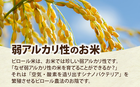 富山県滑川市産　弱アルカリ性米　「ピロール農法米　いのちの壱」玄米5kg【2025年10月中旬より順次発送】 / 産地直送 袋 ブランド米 お米 米 ご飯 ごはん 富山 滑川市 アグリめぐみ 農家直送 おこめ