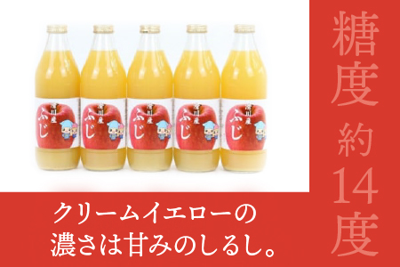 りんごジュース 1L×5本