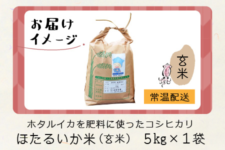 【訳あり】ほたるいか米（玄米５kg）【通年発送】
