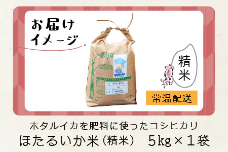 【訳あり】ほたるいか米（精米５kg）【通年発送】
