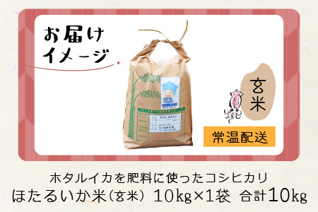 【訳あり】ほたるいか米（玄米１０kg）【通年発送】 