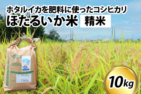 【訳あり】ほたるいか米（精米１０kg）【通年発送】