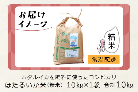 【訳あり】ほたるいか米（精米１０kg）【通年発送】