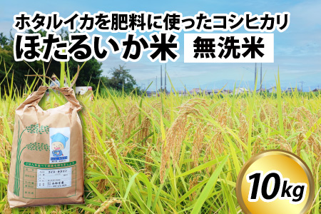 ほたるいか米（無洗米１０kg）【通年発送】
