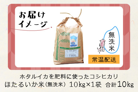 【訳あり】ほたるいか米（無洗米１０kg）【通年発送】