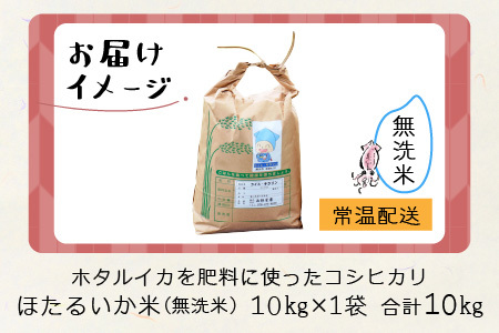 【順次発送中】【新米】ほたるいか米（新米/無洗米１０kg）※10月以降順次発送