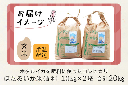 【訳あり】ほたるいか米（玄米２０kg）【通年発送】 