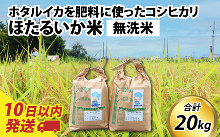 【訳あり】ほたるいか米（無洗米２０kg）【通年発送】