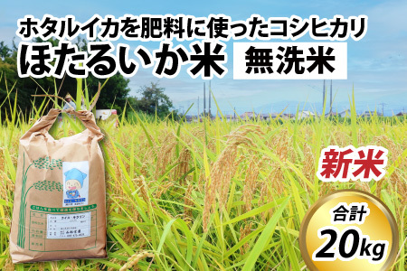 【新米】ほたるいか米（新米/無洗米２０kg） 令和７年産