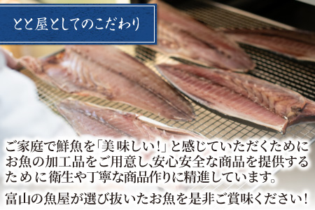 煮魚・焼き魚詰合せセット 