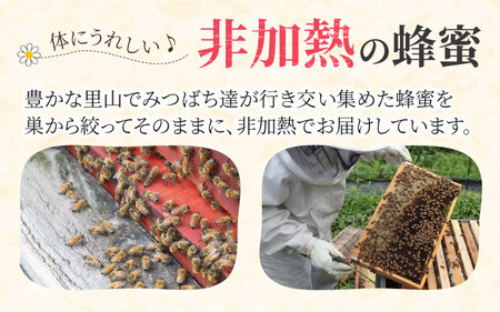 【先行予約】生はちみつと蜜蝋キャンドルのセット ※25年6月以降順次発送予定  国産 天然 はちみつ ハチミツ 蜂蜜 ハチミツ 純粋はちみつ 蜂蜜 百花 非加熱 国産 ギフト 贈答用 プレゼント レモン 紅茶 梅干し 富山県 滑川市 ハニー 人気 おすすめ [A-033001]