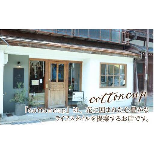 しめ縄no.758 手ごわい