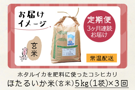 ほたるいか米（玄米５kg）×3回 計15kg【3ヶ月定期便】 