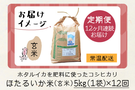 【訳あり】ほたるいか米（玄米５kg）×12回 計60kg【12ヶ月定期便】