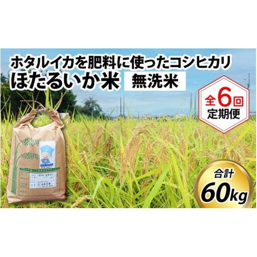 米定期便 コシヒカリ10kg 6か月 無洗米10kg