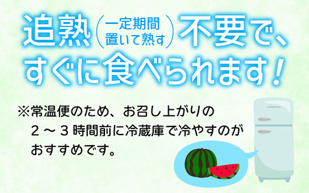 【先行予約】【期間限定】種まで食べられるスイカ　小玉スイカ（ピノガール）＊24年7月末以降順次発送予定