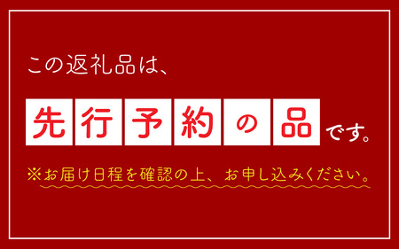 【先行予約】【期間限定】種まで食べられるスイカ　小玉スイカ（ピノガール）＊24年7月末以降順次発送予定