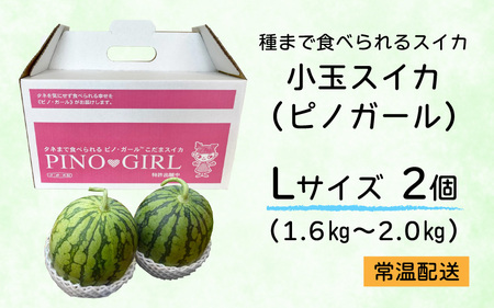 【先行予約】【期間限定】種まで食べられるスイカ　小玉スイカ（ピノガール）＊24年7月末以降順次発送予定