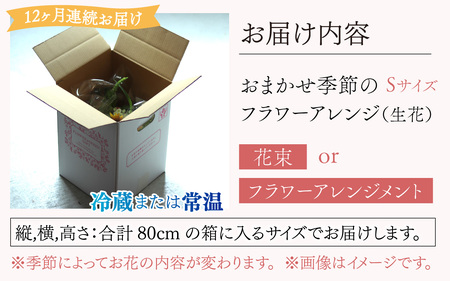 【定期便12回】おまかせ季節のフラワーアレンジ(生花)Sサイズ ×12ヶ月 お好み、着日指定可能