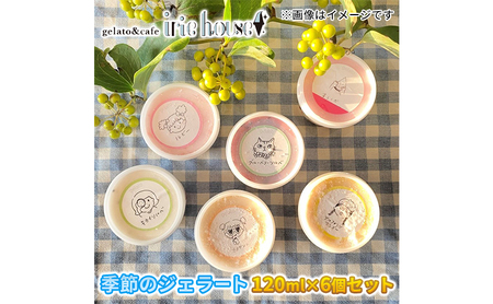 【お任せ】季節のジェラート120ml×お楽しみ6個セット/富山県黒部市 アイス アイスクリーム アイリーハウス 黒部の名水 送料無料 詰め合わせ