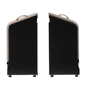 ホームスライドダスポン スリム プレミアムモデル 宅配ボックス 用具入れ ゴミ箱 趣味用品保存場所 用具箱  ベージュラテ（木目調）