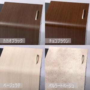 ホームスライドダスポン スリム プレミアムモデル 宅配ボックス 用具入れ ゴミ箱 趣味用品保存場所 用具箱  ペルラートベージュ（大理石調）