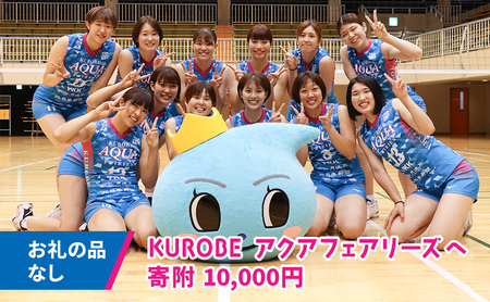 【お礼の品なし】KUROBEアクアフェアリーズへの応援寄附10,000円 女子バレー 女子バレーボール 返礼品なし
