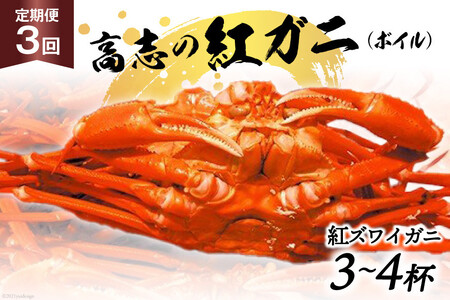 定期便 紅 ズワイガニ ボイル 高志の紅ガニ 3～4杯×3回 カニ 蟹 期間限定 冷蔵/くろべ漁業協同組合 魚の駅「生地」/富山県 黒部市 かに 海鮮 魚介類 魚介 ずわい蟹 ずわいガニ