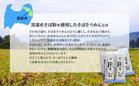 蕎麦 乾麺【黒部産そば粉使用】そばそうめん黒部の糸 麺類 