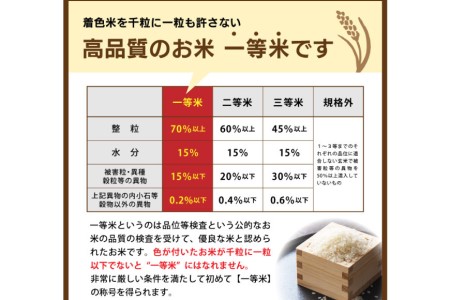 米 無洗米 コシヒカリ 5kg ご飯 ごはん 白米 精米/林農産/富山県 黒部市