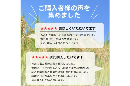 米 無洗米 コシヒカリ 5kg ご飯 ごはん 白米 精米/林農産/富山県 黒部市