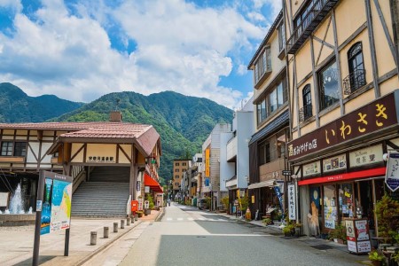 黒部市への応援寄附(返礼品はありません)1口 1,000円 返礼品なし 地域のお礼の品